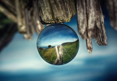 Close-up of water drops on plant