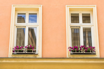 Potted plants on window sill of building