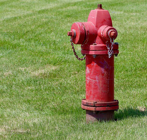 Red fire hydrant on field