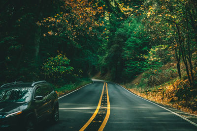 Road amidst trees in forest