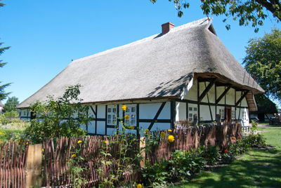 Exterior of plants growing in front of house against blue sky