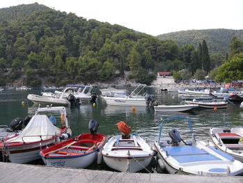 Boats in sea