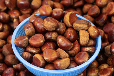 High angle view of chest nuts in container