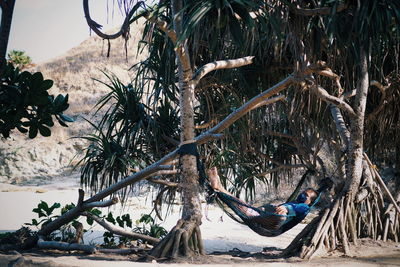 Man relaxing on hammock amidst palm trees at beach