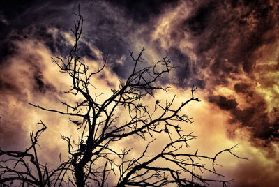 Low angle view of silhouette bare tree against sky