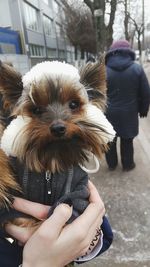 Midsection of woman with puppy