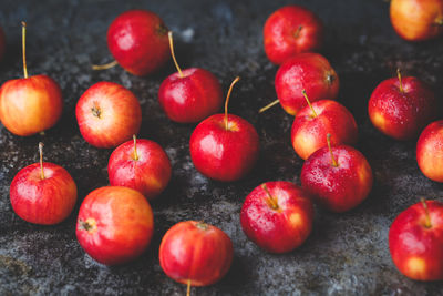 Close-up of cherries in water