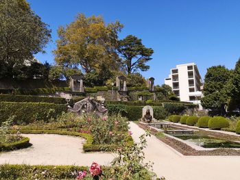 Plants and trees by building against blue sky