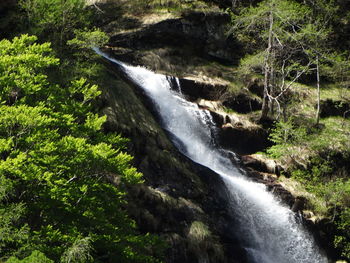 Scenic view of waterfall in forest