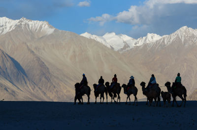 Group of people riding camels 