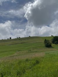 Scenic view of field against sky