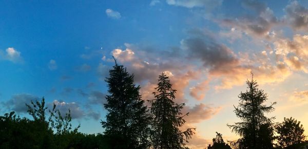 Low angle view of trees against sky