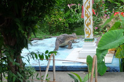 Squirrel sitting by statue against trees