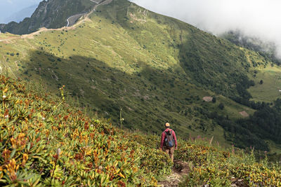 Young man with backpack hiking in the caucasus green mountains among the bushes of rhododendron 