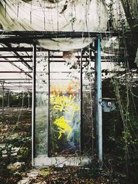 Interior of abandoned greenhouse