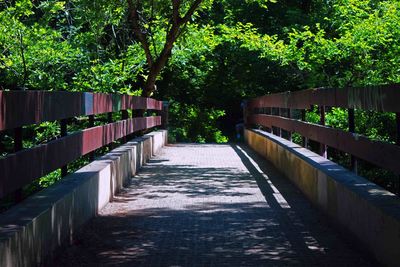 Narrow walkway in park