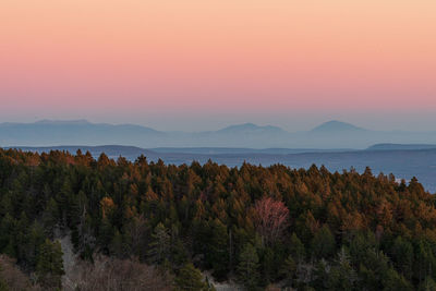 Scenic view of trees against sky during sunset