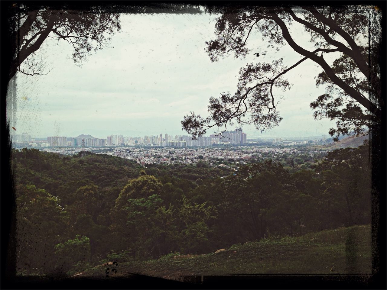 Tai Tong Barbecue Site 大棠燒烤場