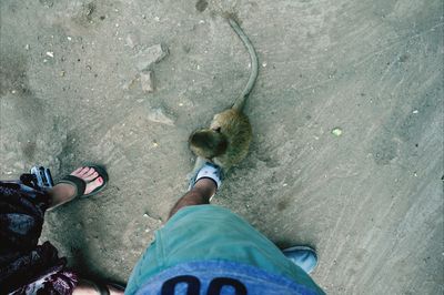 Low section of person standing on tiled floor