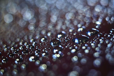 Close-up of water drops on leaf