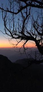 Silhouette bare tree against sky during sunset