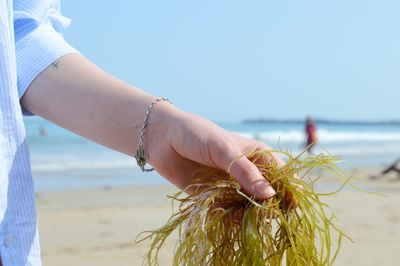 Close-up of woman hand holding umbrella on beach