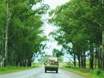 Road passing through country road