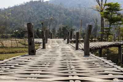 Wooden footpath amidst trees in forest