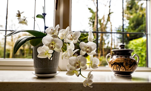 Close-up of flower vase on window sill