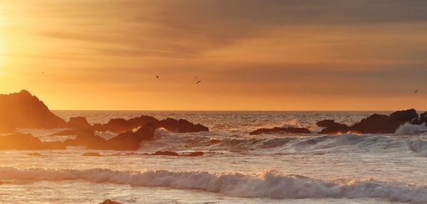 Scenic view of sea against sky during sunset