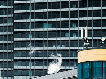 Low angle view of white perching on window of building