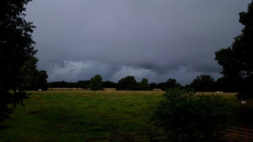 Scenic view of grassy field against cloudy sky