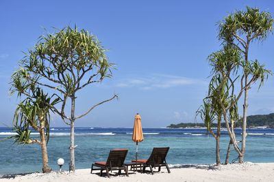 Sun loungers overlooking calm sea