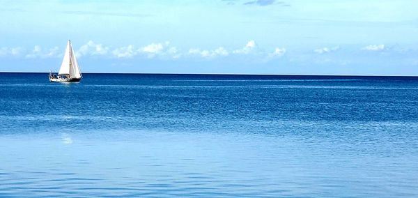 Sailboat sailing in sea against sky