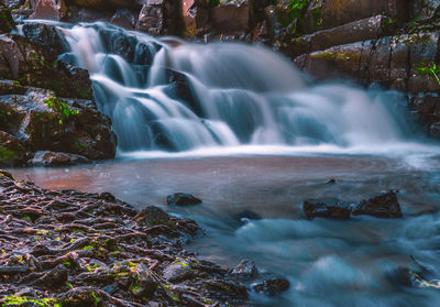 Scenic view of waterfall in forest