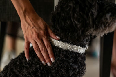 Close-up of hand holding hands