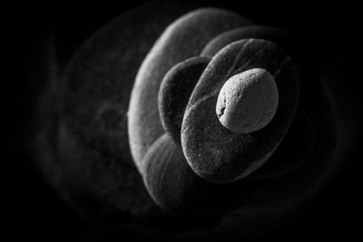 Close-up of bread in black background