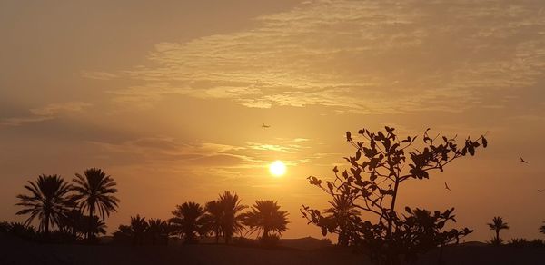 Silhouette trees against sky during sunset