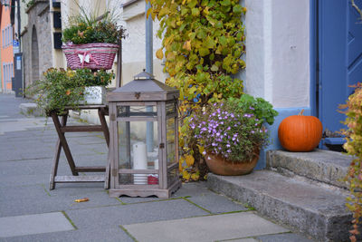 Potted plants outside house