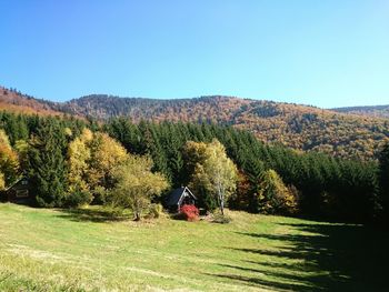 Scenic view of grassy field against clear sky