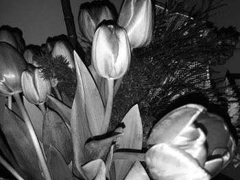 Close-up of flowers