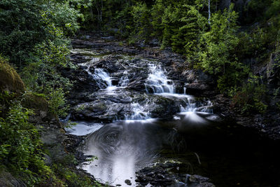 Scenic view of waterfall in forest