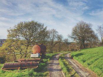 Empty road passing through forest