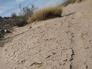 Scenic view of sand dune on beach against sky