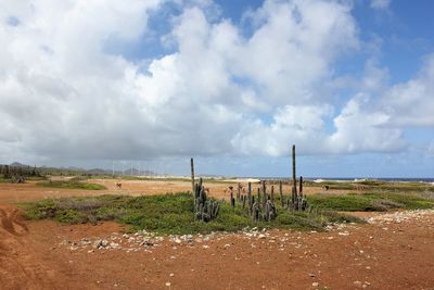 Wooden fence on field against sky