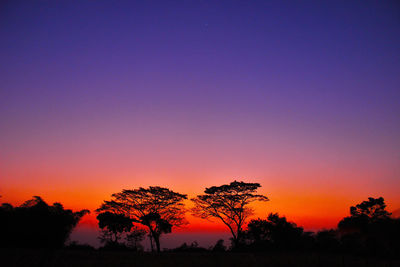 Silhouette trees against clear sky during sunset