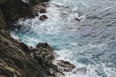 High angle view of rock formation in sea