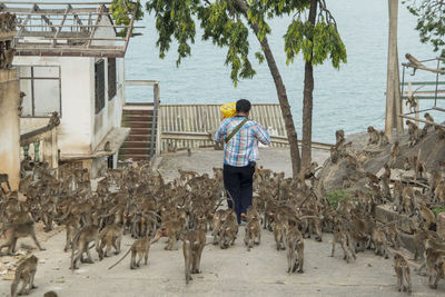 Rear view of man standing at riverbank