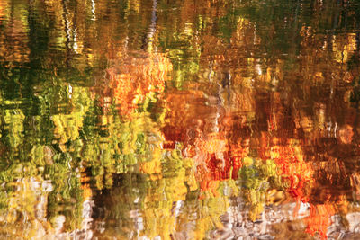 Full frame shot of reflection of trees in lake