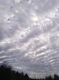 Low angle view of silhouette trees against sky